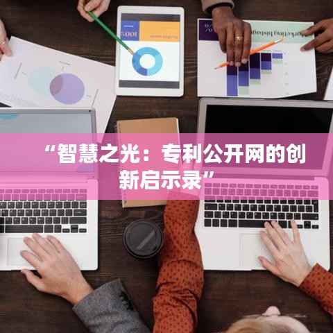 “智慧之光：专利公开网的创新启示录”