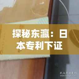 探秘东瀛:日本专利下证的奇幻之旅