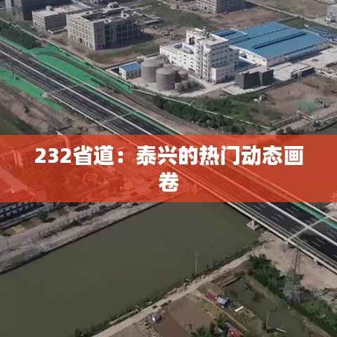 232省道:泰兴的热门动态画卷