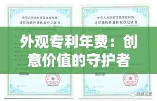 外观专利年费：创意价值的守护者