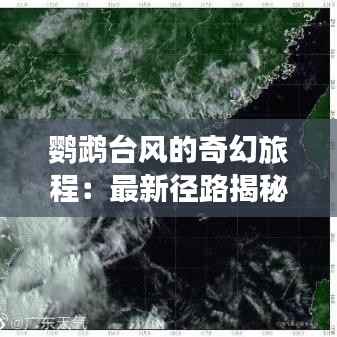 鹦鹉台风的奇幻旅程:最新径路揭秘