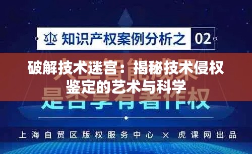 破解技术迷宫：揭秘技术侵权鉴定的艺术与科学