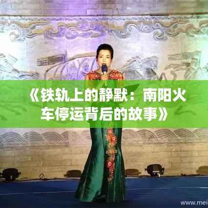 《铁轨上的静默:南阳火车停运背后的故事》