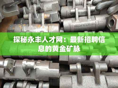 探秘永丰人才网:最新招聘信息的黄金矿脉