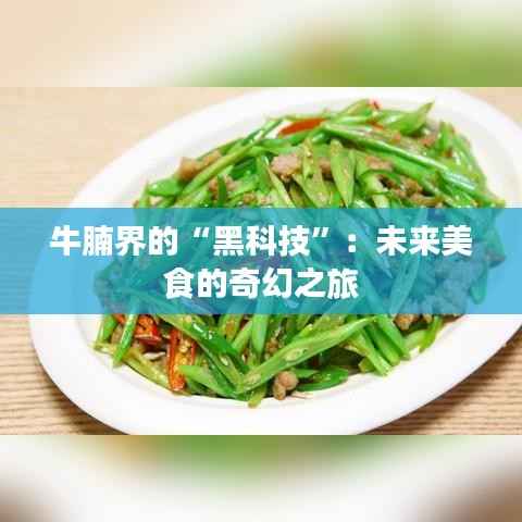 牛腩界的“黑科技”:未来美食的奇幻之旅