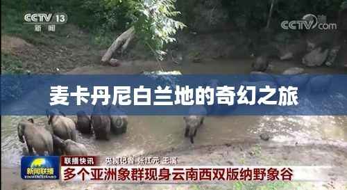 麦卡丹尼白兰地的奇幻之旅