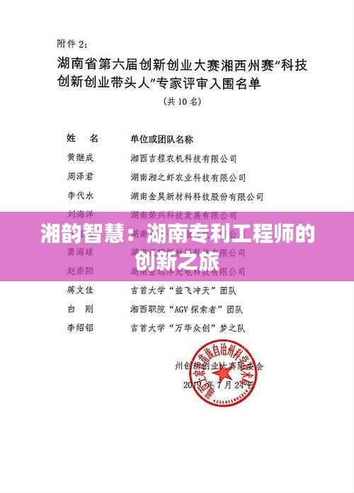 湘韵智慧:湖南专利工程师的创新之旅