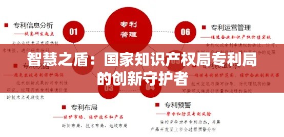 智慧之盾:国家知识产权局专利局的创新守护者