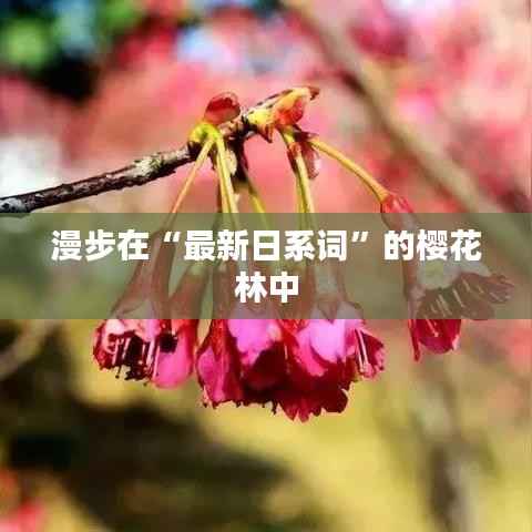 漫步在“最新日系词”的樱花林中