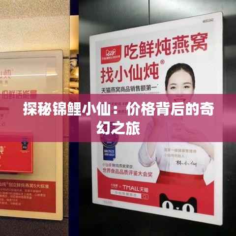 探秘锦鲤小仙:价格背后的奇幻之旅