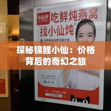 探秘锦鲤小仙:价格背后的奇幻之旅