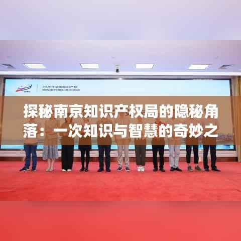 探秘南京知识产权局的隐秘角落:一次知识与智慧的奇妙之旅