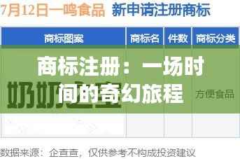 商标注册:一场时间的奇幻旅程