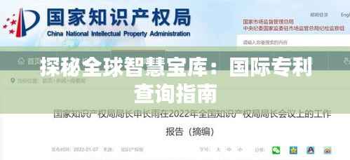 探秘全球智慧宝库:国际专利查询指南