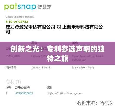 创新之光:专利参选声明的独特之旅