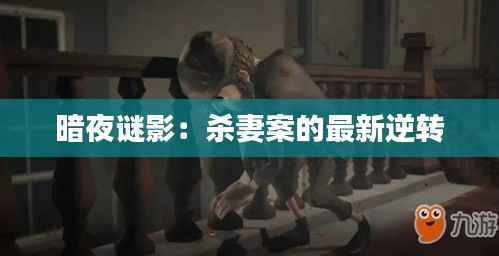 暗夜谜影：杀妻案的最新逆转
