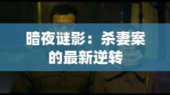 暗夜谜影:杀妻案的最新逆转