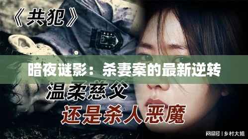 暗夜谜影:杀妻案的最新逆转