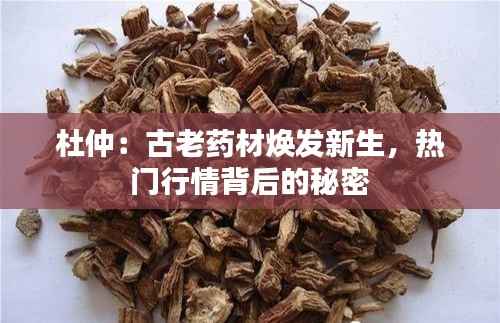 杜仲:古老药材焕发新生,热门行情背后的秘密