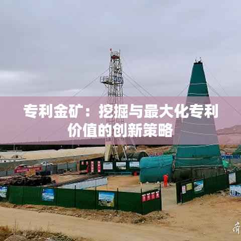 专利金矿:挖掘与最大化专利价值的创新策略