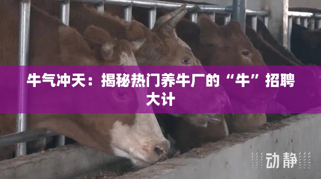 牛气冲天:揭秘热门养牛厂的“牛”招聘大计