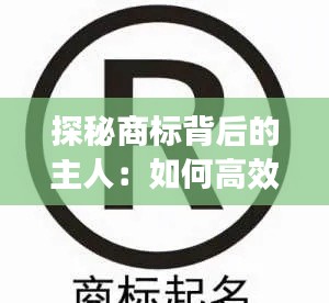 探秘商标背后的主人:如何高效查询商标持有人