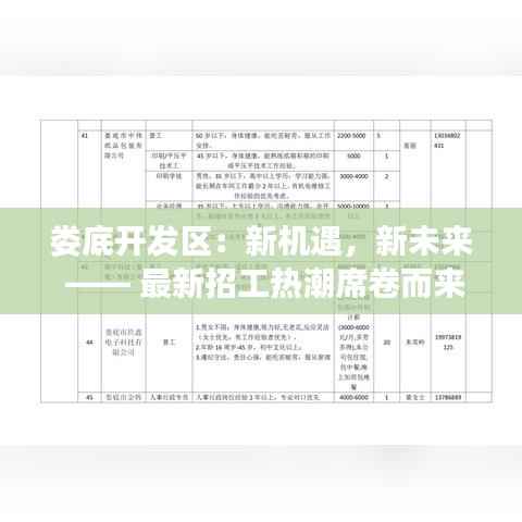 娄底开发区:新机遇,新未来 —— 最新招工热潮席卷而来