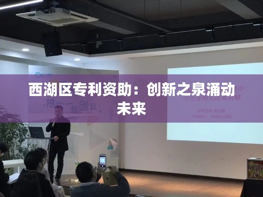 西湖区专利资助:创新之泉涌动未来