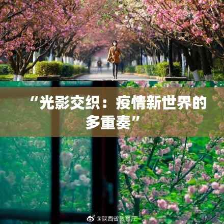 “光影交织:疫情新世界的多重奏”