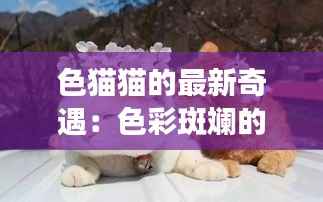 色猫猫的最新奇遇:色彩斑斓的梦幻之旅