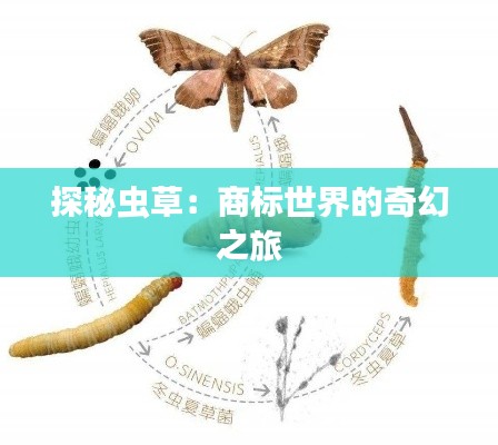 探秘虫草:商标世界的奇幻之旅