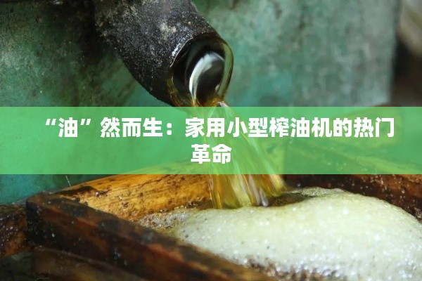 “油”然而生:家用小型榨油机的热门革命