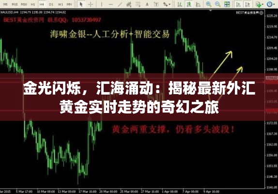 金光闪烁,汇海涌动:揭秘最新外汇黄金实时走势的奇幻之旅