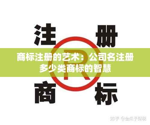 商标注册的艺术:公司名注册多少类商标的智慧