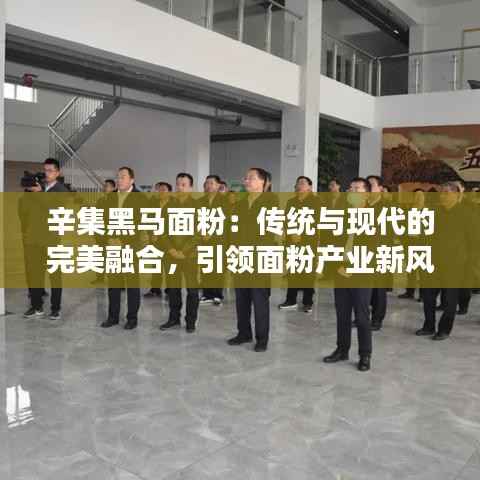 辛集黑马面粉：传统与现代的完美融合，引领面粉产业新风尚