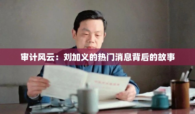 审计风云:刘加义的热门消息背后的故事