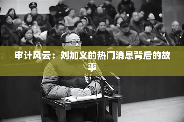 审计风云:刘加义的热门消息背后的故事