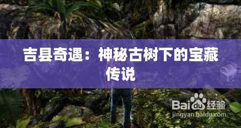 吉县奇遇:神秘古树下的宝藏传说