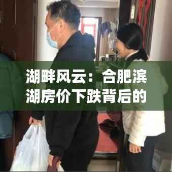 湖畔风云:合肥滨湖房价下跌背后的故事