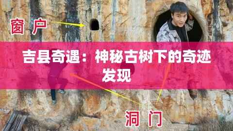 吉县奇遇:神秘古树下的奇迹发现