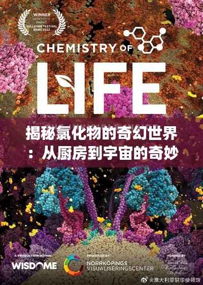 揭秘氯化物的奇幻世界:从厨房到宇宙的奇妙旅程