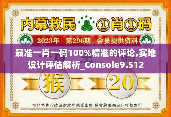 最准一肖一码100%精准的评论,实地设计评估解析_Console9.512