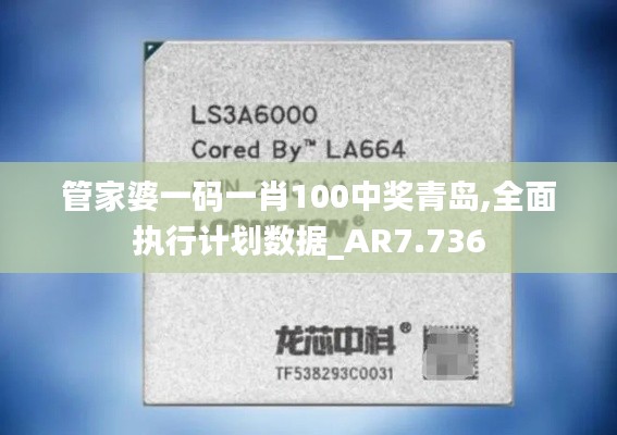 管家婆一码一肖100中奖青岛,全面执行计划数据_AR7.736