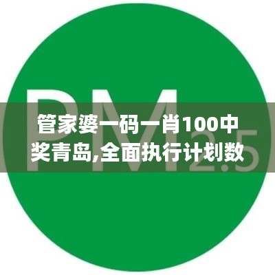 管家婆一码一肖100中奖青岛,全面执行计划数据_AR7.736