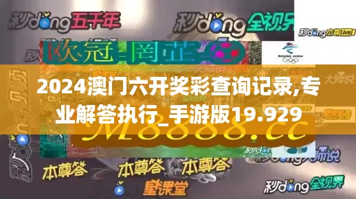 2024澳门六开奖彩查询记录,专业解答执行_手游版19.929