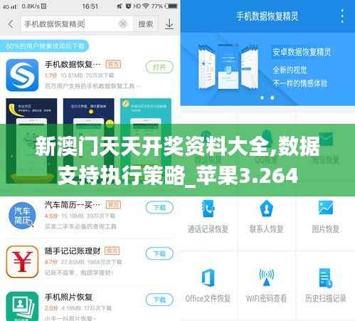 新澳门天天开奖资料大全,数据支持执行策略_苹果3.264