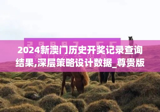 2024新澳门历史开奖记录查询结果,深层策略设计数据_尊贵版8.570