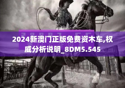 2024新澳门正版免费资木车,权威分析说明_8DM5.545