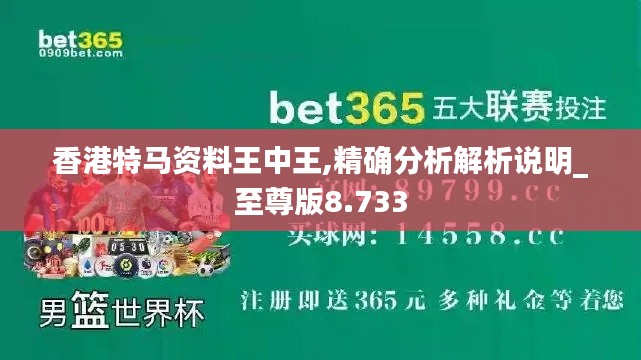香港特马资料王中王,精确分析解析说明_至尊版8.733