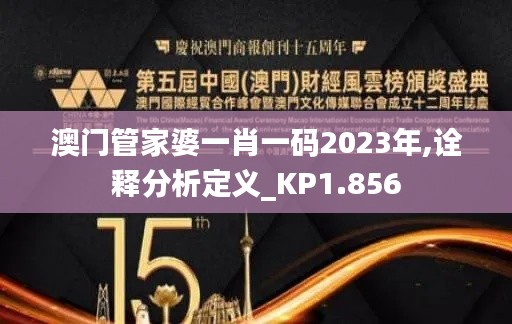 澳门管家婆一肖一码2023年,诠释分析定义_KP1.856